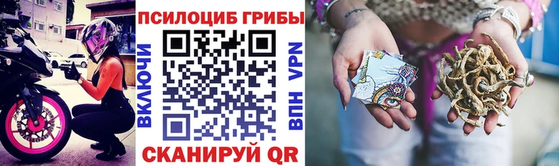 shop официальный сайт  Зеленоградск  Галлюциногенные грибы прущие грибы 
